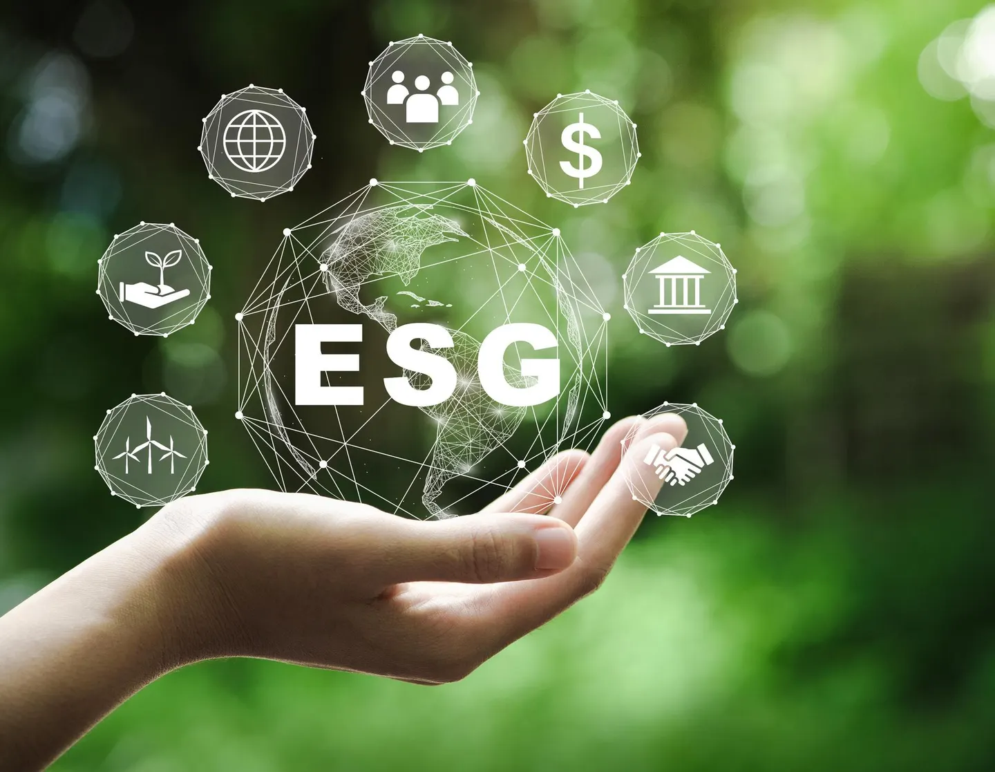 ESG Governance